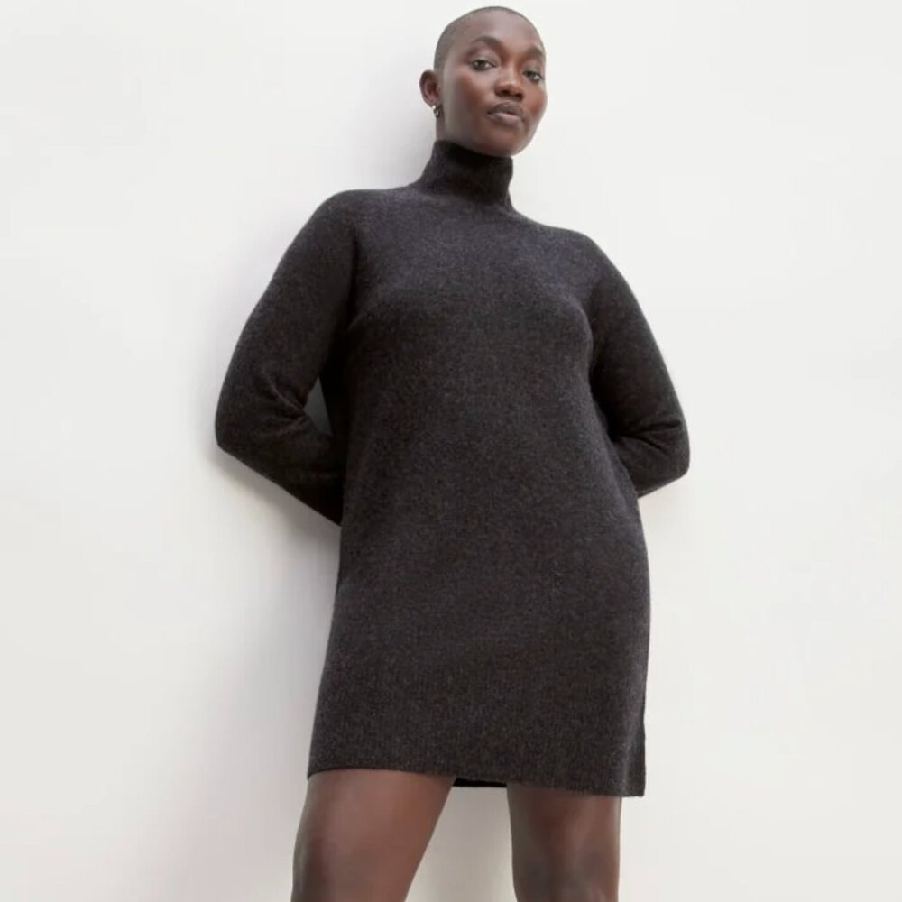 Everlane The Cozy Wool-Blend Stretch Turtleneck Dress in Grey